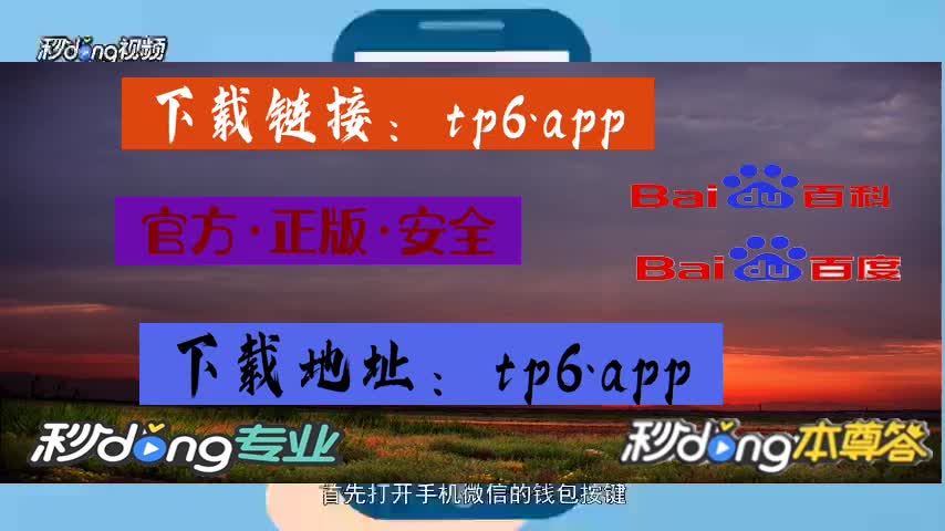 钱包tp官方在哪可以下载_钱包tp下载_tp钱包如何