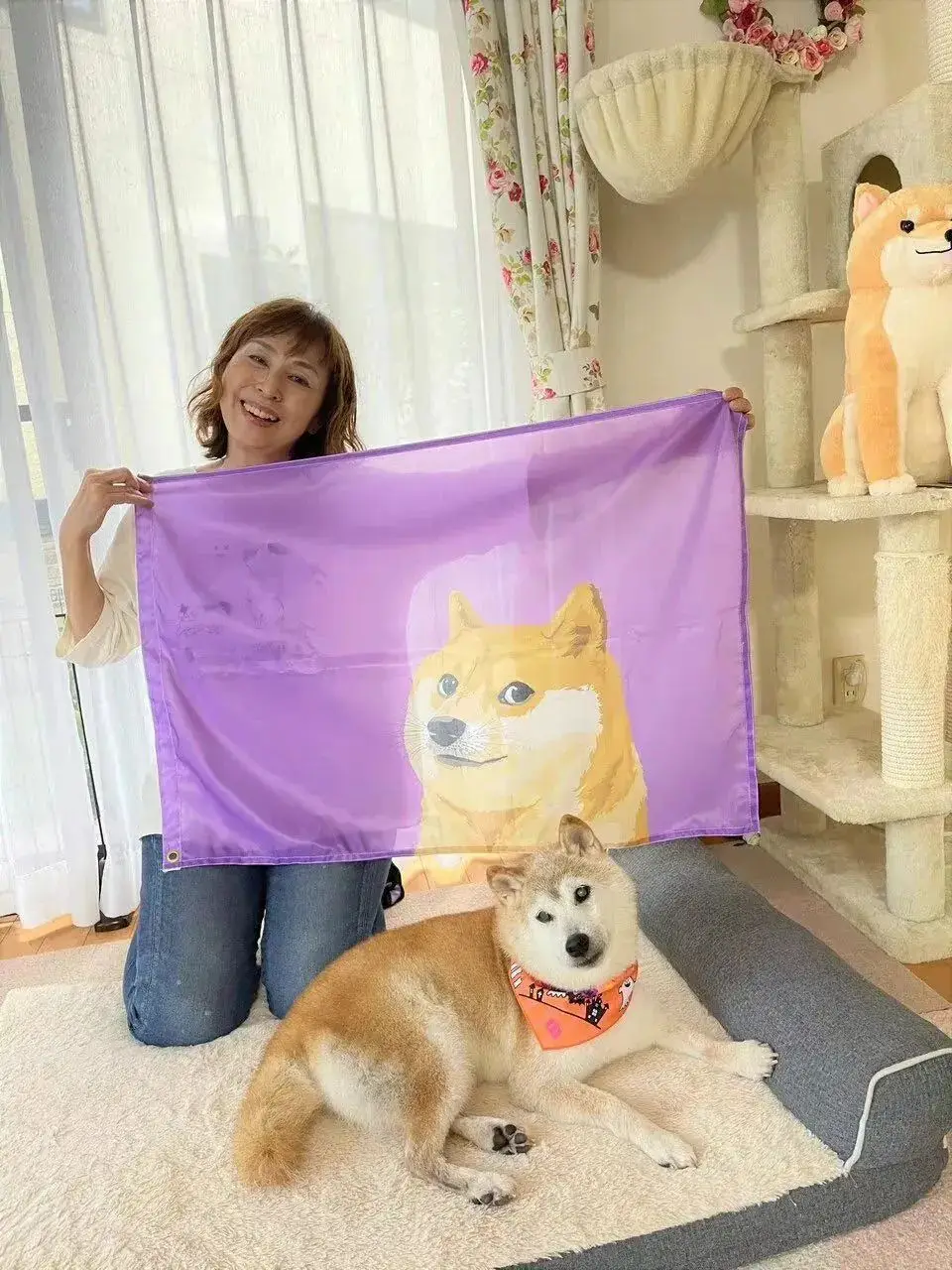 钱包买绿色的好吗_钱包买什么颜色好招财_tp钱包怎么买minidoge