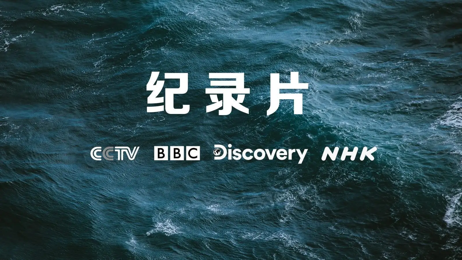 万物理论电影完整版在线观看_万物理论在线观看双语_万物物理电影