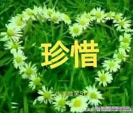币被盗了报警有用吗_imtoken币被盗找回案例_怎么申诉找回被盗的币