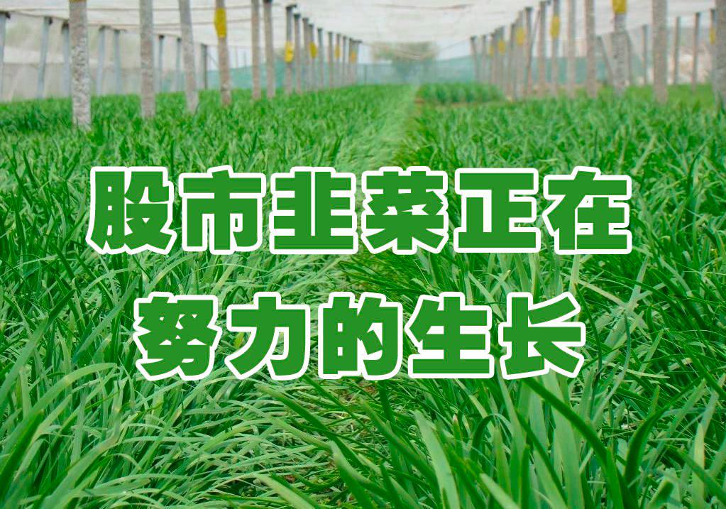 币被盗了报警有用吗_imtoken币被盗找回案例_怎么申诉找回被盗的币