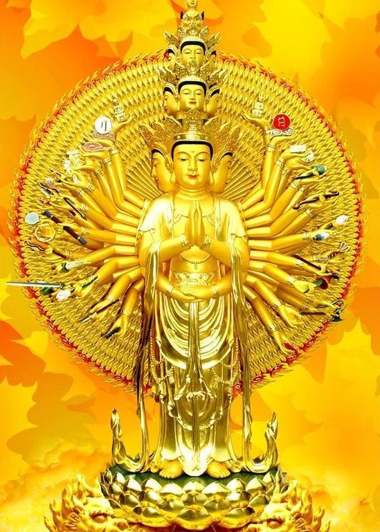 海本是什么学校_海本是什么意思_海本