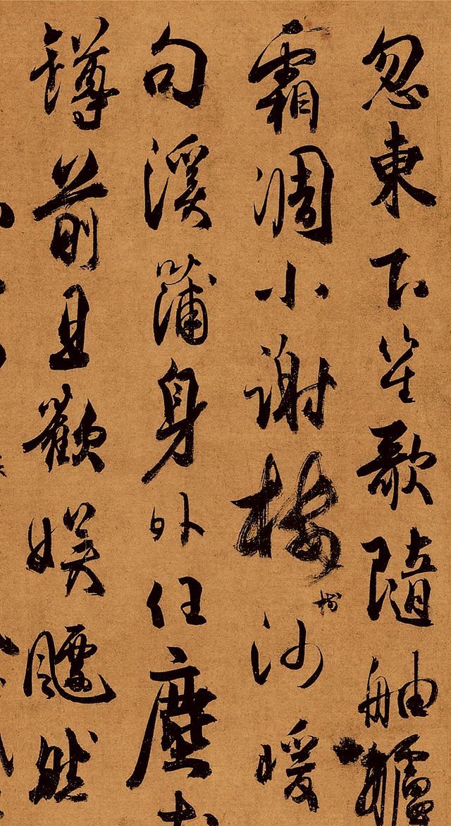 凉宫琴美_琴美_朝仓琴美