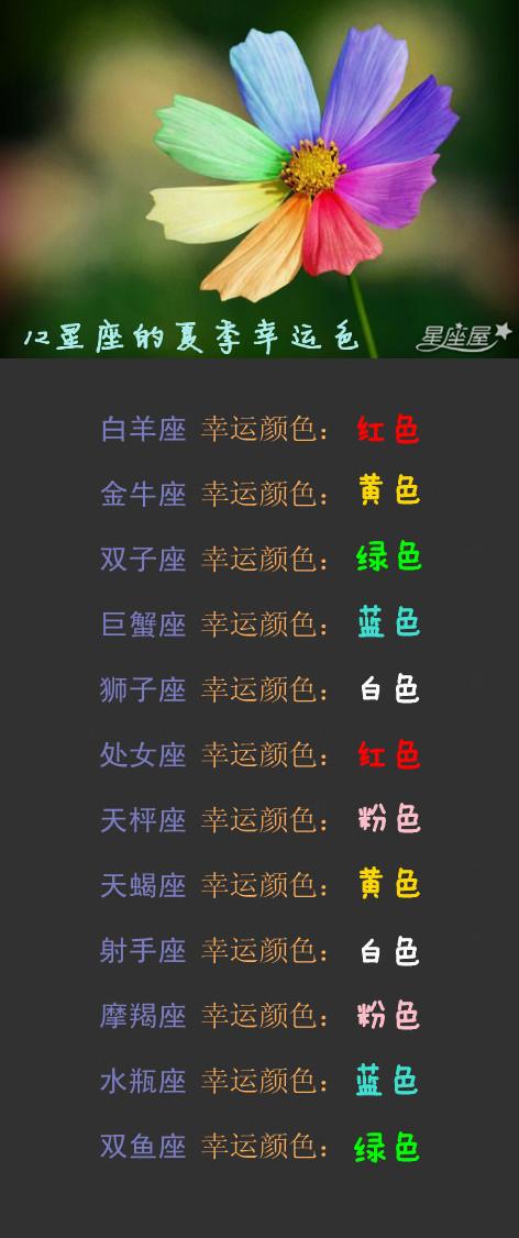 钱包是白色的好不好_im是什么钱包_钱包是干嘛的