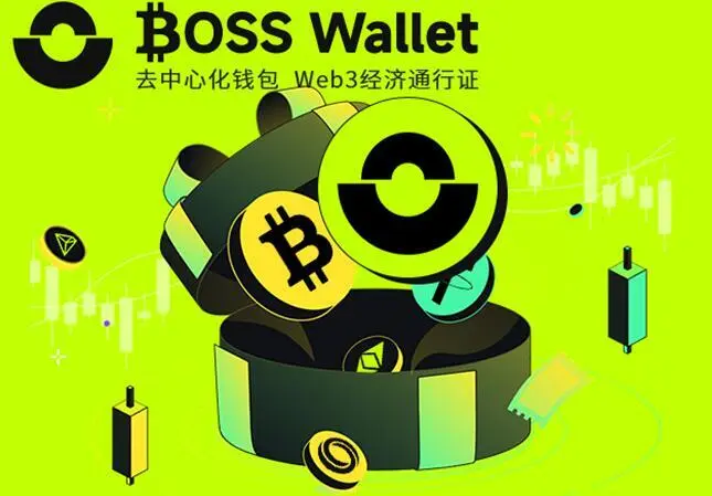 币包钱包_币钱包安全吗_tp钱包币安链