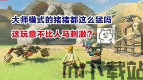 海拉鲁城堡厨房在哪里,海拉鲁城堡厨房位置详解(图5) 海拉鲁城堡厨房在哪里,海拉鲁城堡厨房位置详解(图5)
