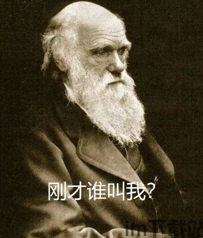 比特币达尔文,加密货币的进化之路(图7) 比特币达尔文,加密货币的进化之路(图7)