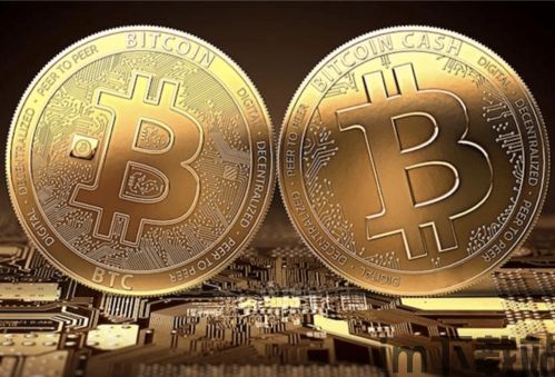 比特币的价格多少钱1枚,比特币走势图k线图(图7) 比特币的价格多少钱1枚,比特币走势图k线图(图7)