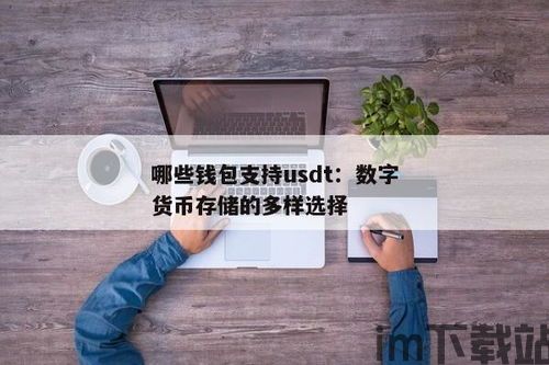 支持usdt的轻钱包,轻松管理USDT,选择合适的轻钱包(图2) 支持usdt的轻钱包,轻松管理USDT,选择合适的轻钱包(图2)