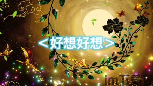 冒险寻宝然后打败魔王安卓版(图8) 冒险寻宝然后打败魔王安卓版(图8)