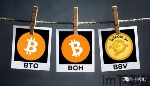 比特币的三个分叉是什么,BTC、BCH、BSV的起源与发展(图2)