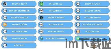 比特币的三个分叉是什么,BTC、BCH、BSV的起源与发展(图3)