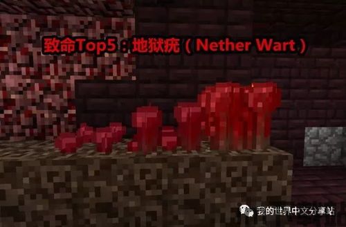 我的世界地下城手机版 (图1) 我的世界地下城手机版 (图1)