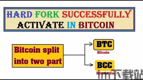 解读什么是比特币分叉,什么是比特币分叉?(图1) 解读什么是比特币分叉,什么是比特币分叉?(图1)