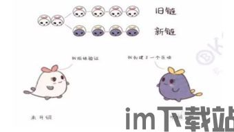 解读什么是比特币分叉,什么是比特币分叉?(图14) 解读什么是比特币分叉,什么是比特币分叉?(图14)