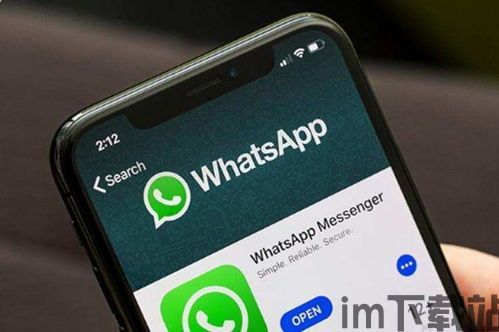 中国whatsapp安全性,蝙蝠App如何守护隐私与安全(图3) 中国whatsapp安全性,蝙蝠App如何守护隐私与安全(图3)