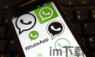 中国whatsapp安全性,蝙蝠App如何守护隐私与安全(图2) 中国whatsapp安全性,蝙蝠App如何守护隐私与安全(图2)