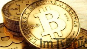 美国议员谈比特币交易,监管挑战与未来展望(图3)