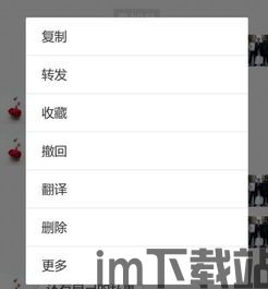 skype查看对方删除的消息,如何查看对方已删除的消息(图2) skype查看对方删除的消息,如何查看对方已删除的消息(图2)