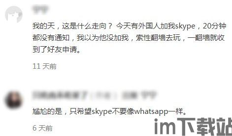 skype苹果商店下架,政策调整下的通讯应用挑战(图2)
