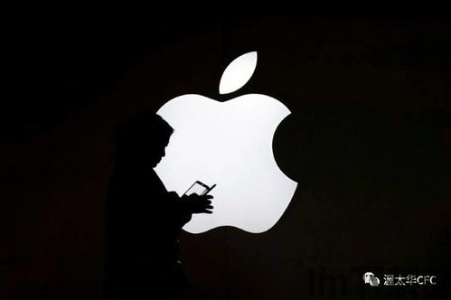 skype苹果商店下架,政策调整下的通讯应用挑战(图3)