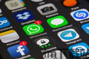 直播whatsapp,WhatsApp引领社交新潮流(图3) 直播whatsapp,WhatsApp引领社交新潮流(图3)