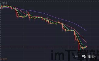 比特币是卖空还是抄底,揭秘投资者策略(图2)