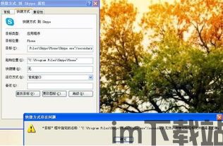 skype美国号码无效,如何避免通讯障碍?(图1) skype美国号码无效,如何避免通讯障碍?(图1)