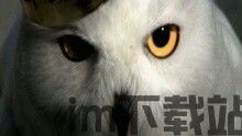 暗影王者 le roi des ombres (2023),揭秘黑暗势力背后的真相(图2)