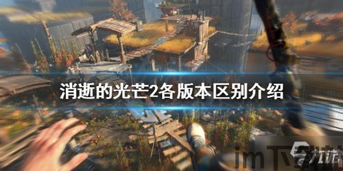 消逝的光芒2真心话大冒险,揭秘消逝的光芒2中的情感纠葛(图1)