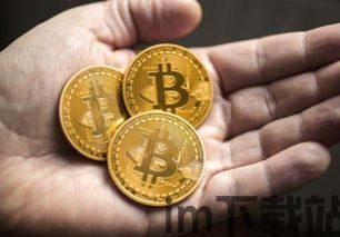 哪年发行的比特币,比特币的起源与演变概述”(图3) 哪年发行的比特币,比特币的起源与演变概述”(图3)