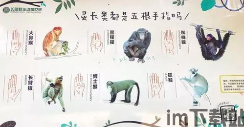 蛋里有什么 (图1) 蛋里有什么 (图1)