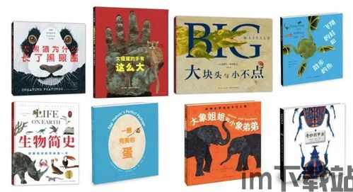 蛋里有什么 (图2) 蛋里有什么 (图2)