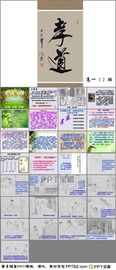 最强弹一弹小游戏 (图1) 最强弹一弹小游戏 (图1)