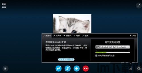 skype麦克风被禁音,揭秘原因及解决方案(图2) skype麦克风被禁音,揭秘原因及解决方案(图2)