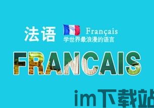 skype法语面签,轻松应对在线留学签证面试(图1) skype法语面签,轻松应对在线留学签证面试(图1)