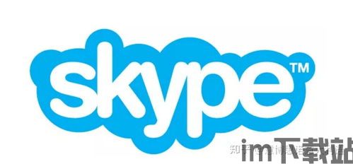 skype面试的意思,远程面试技巧与注意事项(图1) skype面试的意思,远程面试技巧与注意事项(图1)