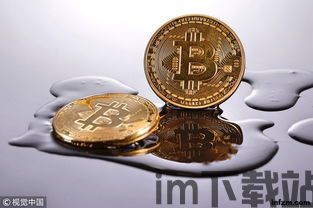比特币是泡沫期吗,泡沫期的征兆与市场分析(图2) 比特币是泡沫期吗,泡沫期的征兆与市场分析(图2)