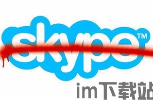 skype打400,高效沟通的桥梁(图2) skype打400,高效沟通的桥梁(图2)