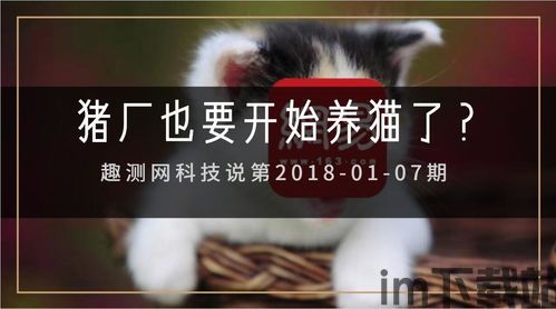 区块链养猫,虚拟宠物经济的崛起与未来趋势(图3) 区块链养猫,虚拟宠物经济的崛起与未来趋势(图3)