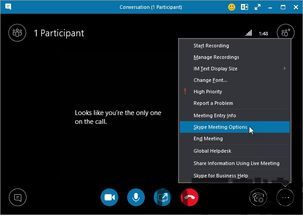 skype会议怎么参加,Skype会议参与指南(图2) skype会议怎么参加,Skype会议参与指南(图2)