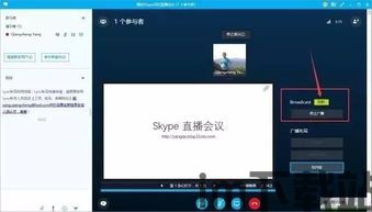skype可以开会吗,轻松实现远程高效沟通(图2) skype可以开会吗,轻松实现远程高效沟通(图2)