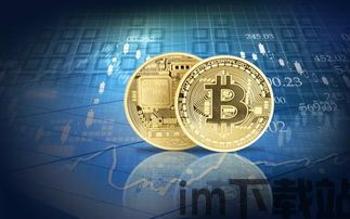 比特币的十大持有者占比(图2) 比特币的十大持有者占比(图2)