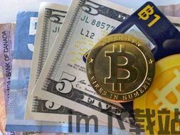 比特币兑换美元方便吗(图3) 比特币兑换美元方便吗(图3)