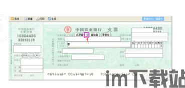 skype可以打发票吗,便捷沟通与财务管理的完美结合(图3) skype可以打发票吗,便捷沟通与财务管理的完美结合(图3)