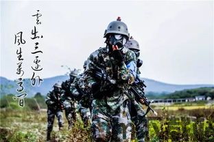 我坦克玩的贼6 (图1) 我坦克玩的贼6 (图1)