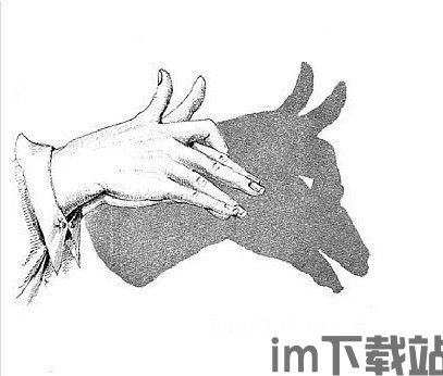 影子英雄大冲关手机版游戏下载v1.0.5 (图1) 影子英雄大冲关手机版游戏下载v1.0.5 (图1)