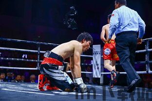 tkof15,揭秘科技与创新的未来篇章(图3) tkof15,揭秘科技与创新的未来篇章(图3)