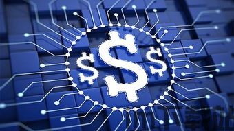 专业加密货币投资,揭秘专业投资者的盈利之道(图1)
