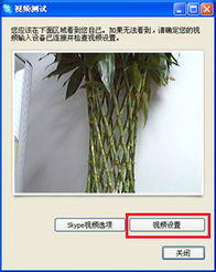 skype视频设置亮度,打造清晰明亮沟通体验(图2) skype视频设置亮度,打造清晰明亮沟通体验(图2)